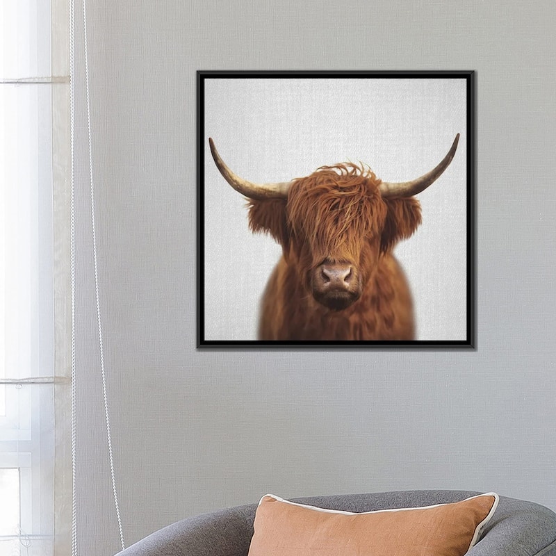 iCanvas "Highland Cow" by Gal Design Framed Canvas Print
