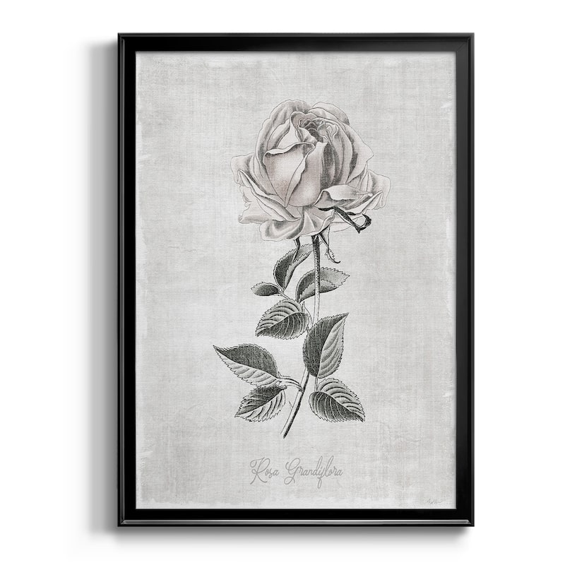 Vintage Botanical II Premium Framed Print - Ready to Hang