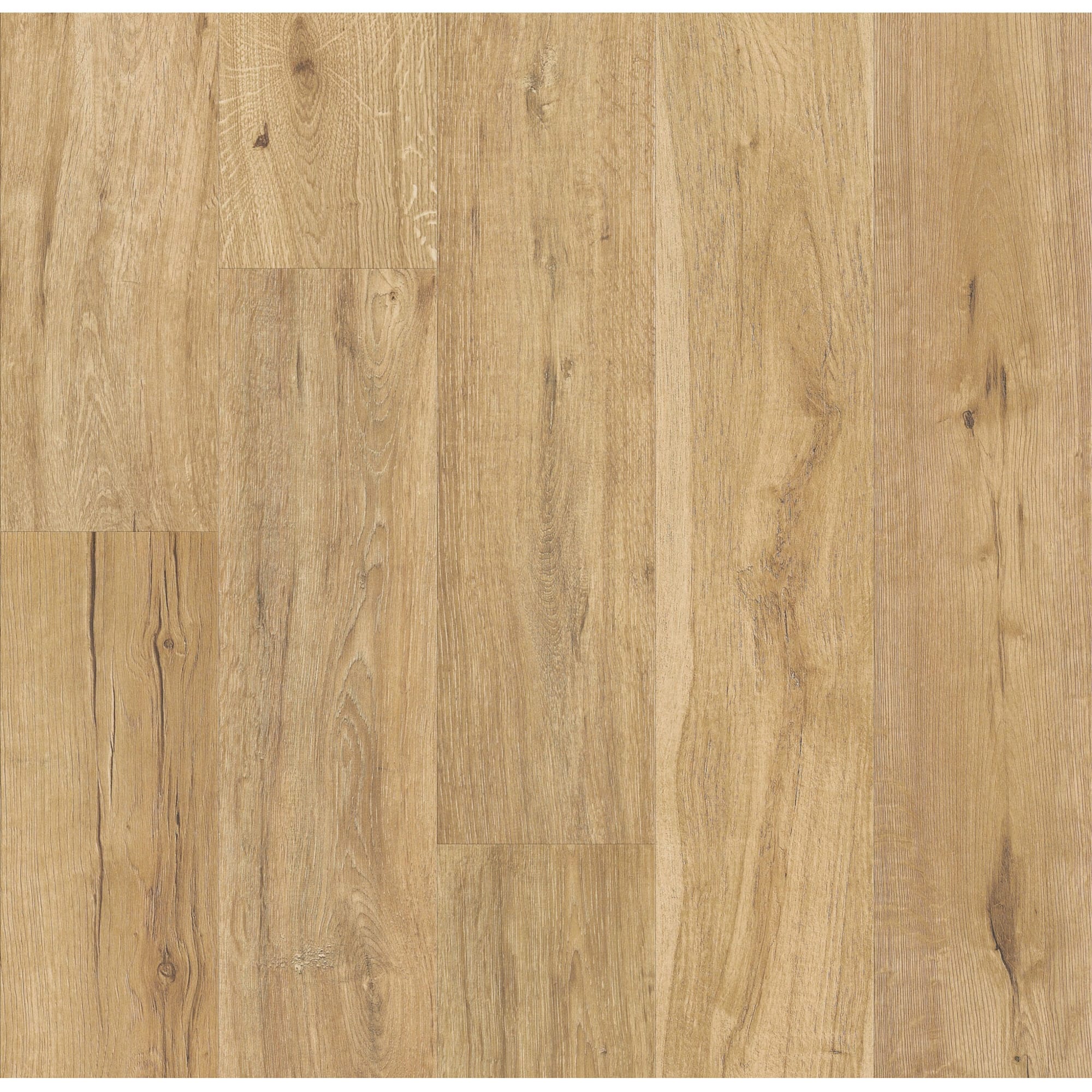 Option Hazelwood