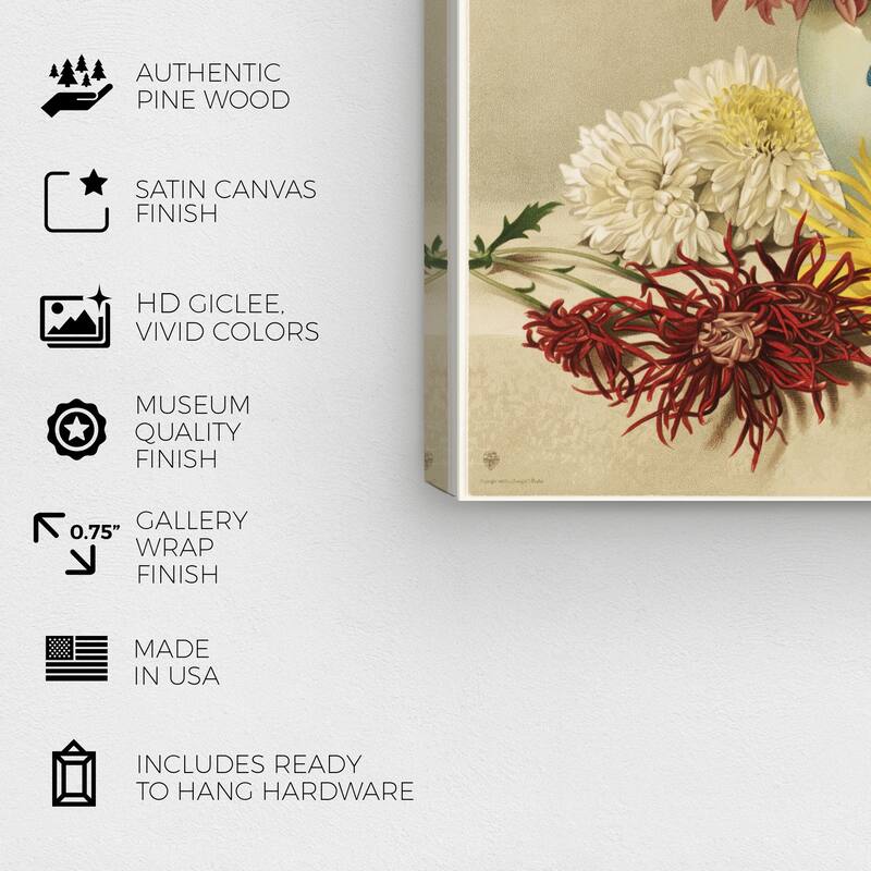 Wynwood Studio Canvas Floral and Botanical Chrysanthemums II White and Cream White Traditional Wall Art Canvas Print