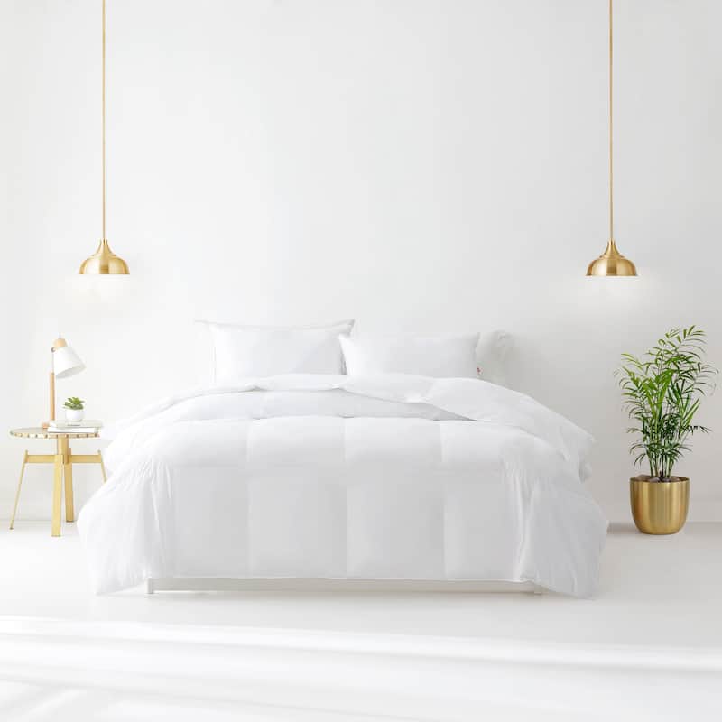 All Season PrimaLoft® ThermoPlume Down Alternative Oversized Comforter with Duvet Tabs by Dream Naturally