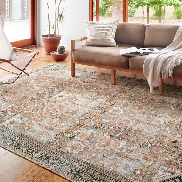 Alexander Home Sophia Printed Botanical Vintage Area Rug On Sale