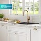 preview thumbnail 123 of 146, KRAUS Bellucci Workstation Topmount Drop-in Granite Kitchen Sink