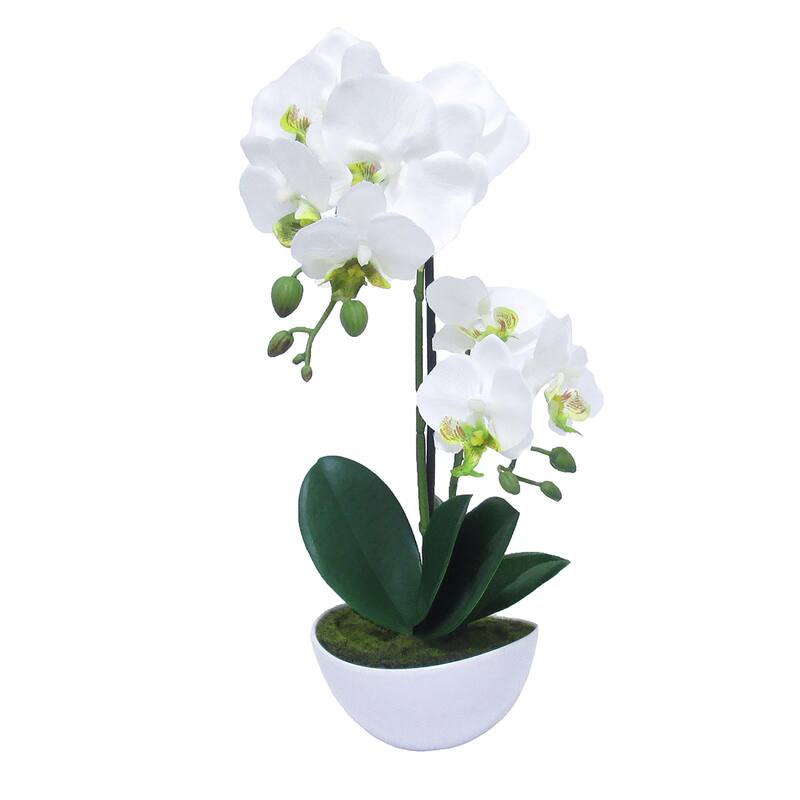 Artificial Phalaenopsis Orchid Flower Arrangement in Pot 16in