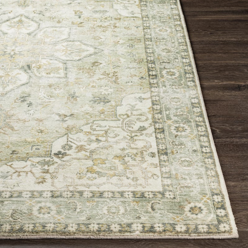 Livabliss Erin Updated Traditional Medallion Area Rug