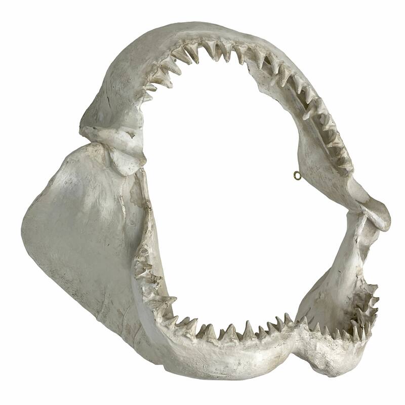 Replica Imitation Shark Jaw Wall Sculpture Resin Coastal Nautical Decor 16"