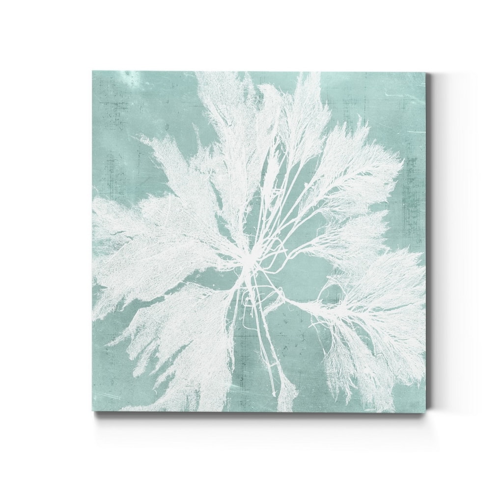 Seaweed on Aqua VI -Premium Gallery Wrapped Canvas