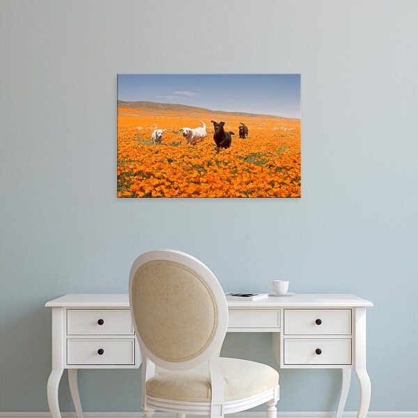 Easy Art Prints Zandria Muench Beraldo's 'Four Labrador Retrievers In Antelope Valley' Premium Canvas Art