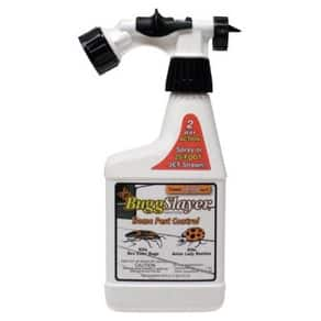 Bugg Products 40116 Buggslayer Insecticide For Box Elder Bugs, 16 Oz ...