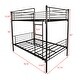 preview thumbnail 7 of 16, Twin over Twin Metal Bunk Bed with Ladder