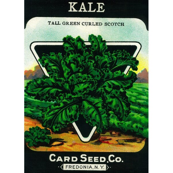 Kale - Vintage Seed Packet (Cotton/Polyester Chef's Apron) - Overstock ...
