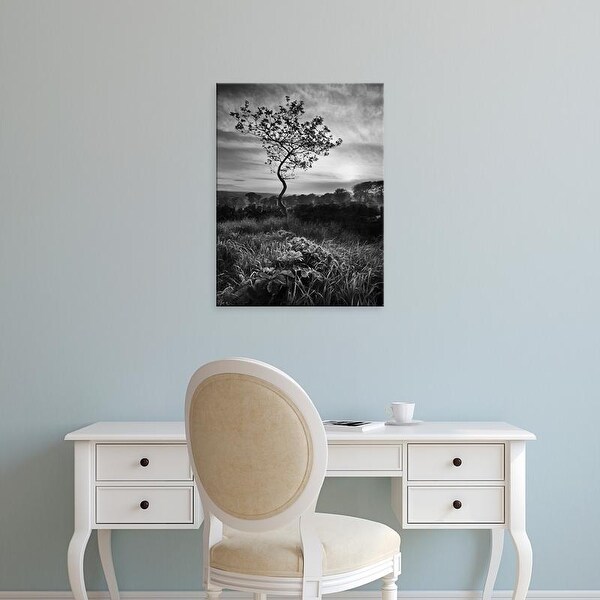 Easy Art Prints Martin Henson's 'Curves' Premium Canvas Art