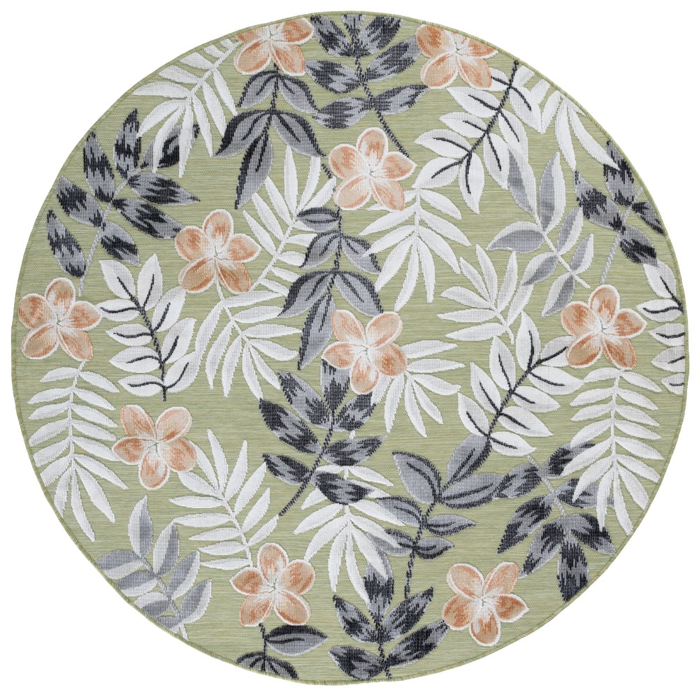 SAFAVIEH Cabana Indoor/ Outdoor Waterproof Transitional Rug