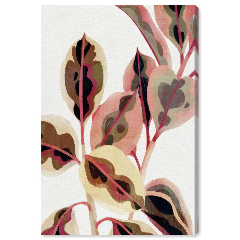Wynwood Studio Canvas Floral and Botanical Little Botanist Pink and Light Pink Modern & Contemporary Wall Art Canvas Print