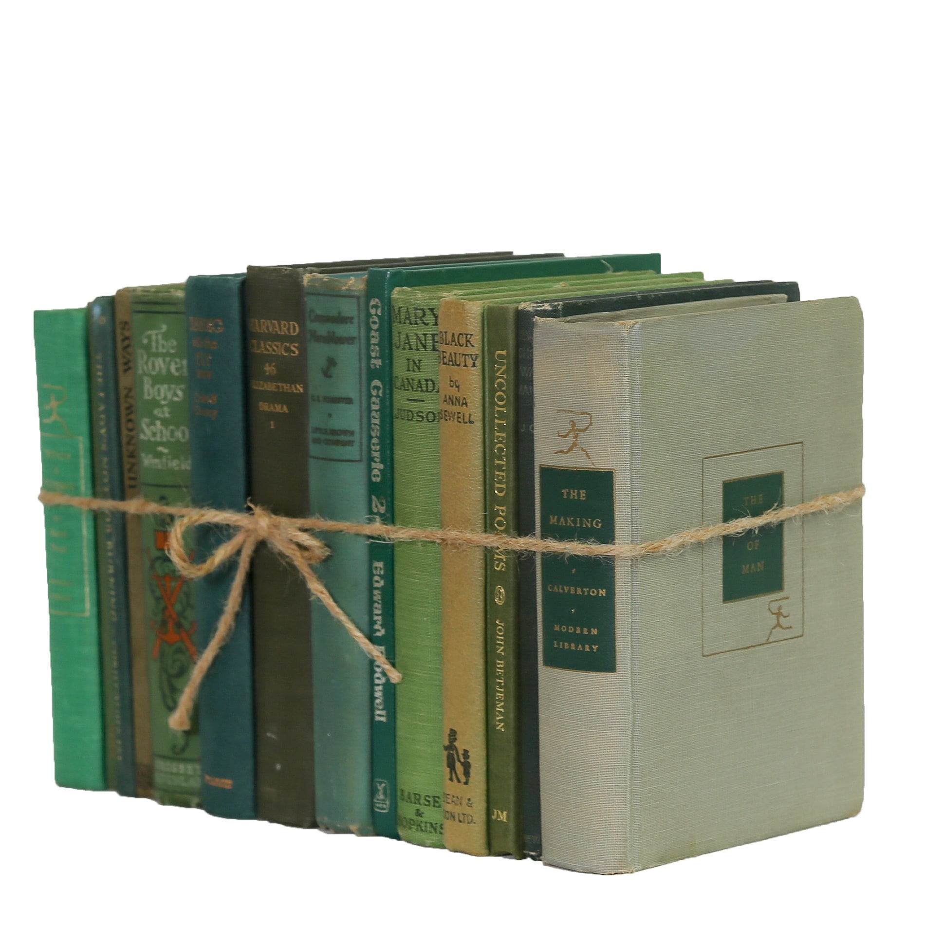 Decorative Books - Petite Vintage Boxwood Book Bundle - 1 Foot of Green Books