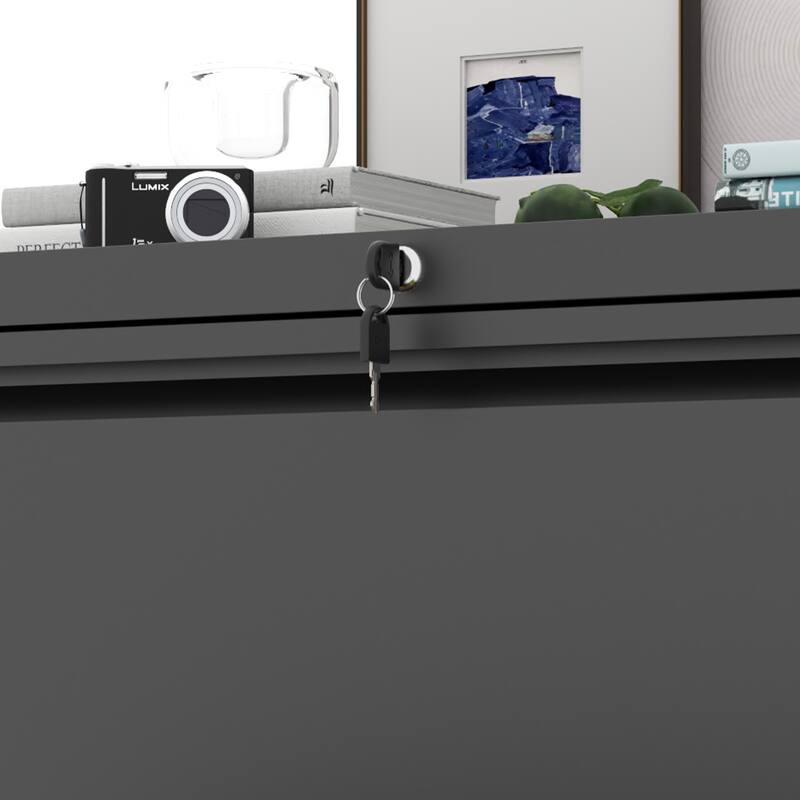 Modern File Cabinet Lateral File Cabinet with 2 Drawers, Silent Slides and Locks, for Home Office, Black