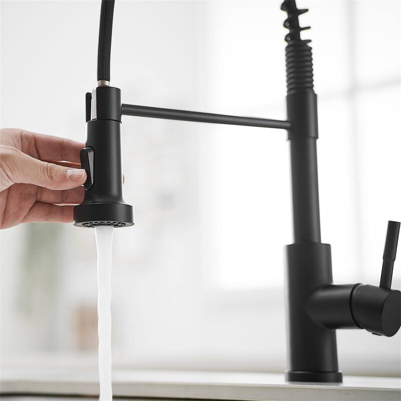 Stainless Steel Kitchen Faucet with Pull-Down Sprayer, Single Handle