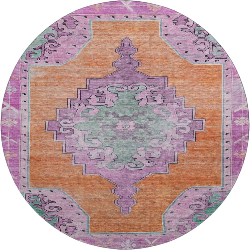 Premium Washable Super Soft Vintage Traditional Mayfield Rug