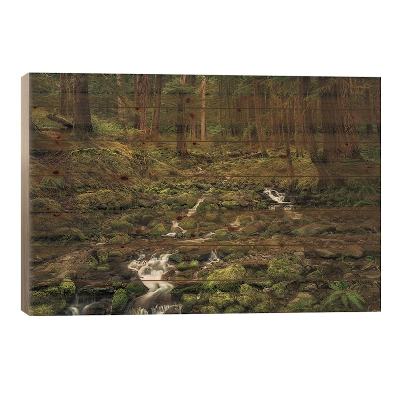 Rainforest Creek Print On Wood by Dennis Frates - Multi-Color - 18x26x1.5