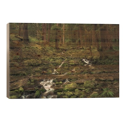 Rainforest Creek Print On Wood by Dennis Frates - Multi-Color