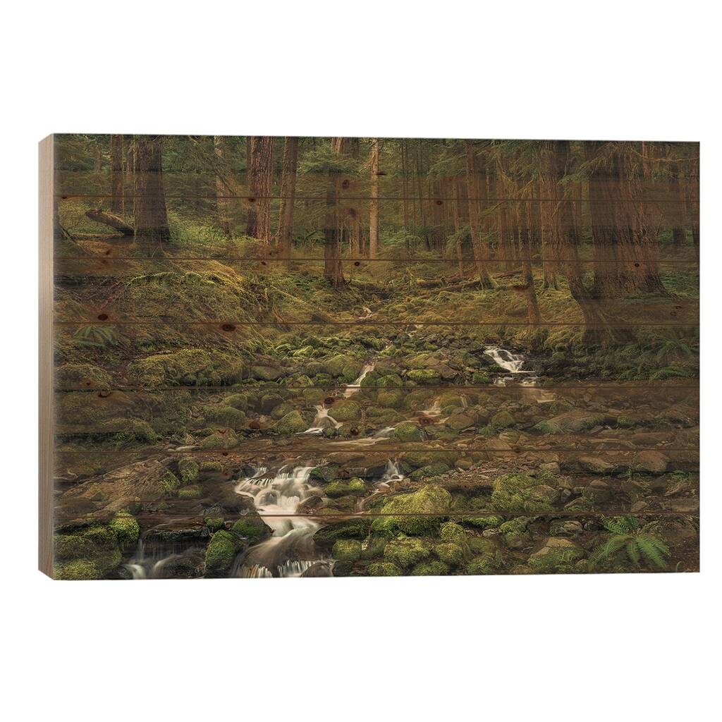 Rainforest Creek Print On Wood by Dennis Frates - Multi-Color
