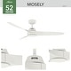 preview thumbnail 6 of 25, Hunter 52" Mosley Outdoor Ceiling Fan and Wall Control, Damp Rated - Industrial, Modern, Transitional