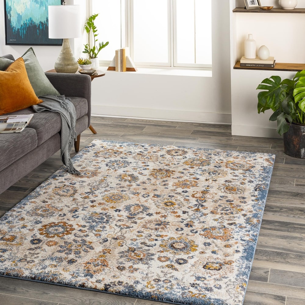 Keira Updated Traditional Medallion Area Rug