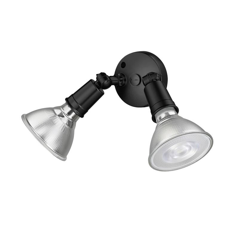 Millennium Lighting 2 Light Flood Light Fixture