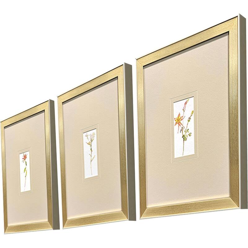 Paragon Pretty Florals II Framed Art - Set of 3