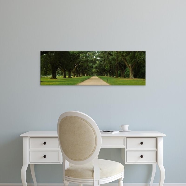 Easy Art Prints Panoramic Images's 'Oak trees on both sides of a path, Charleston, South Carolina, USA' Canvas Art