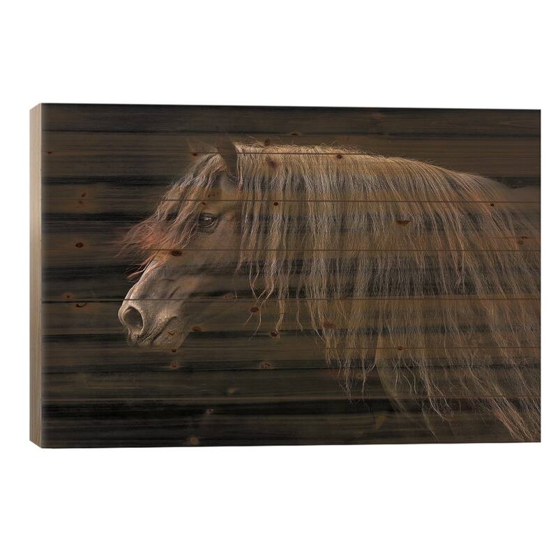 Ebony Print On Wood by Tony Stromberg - Multi-Color - 18x26x1.5