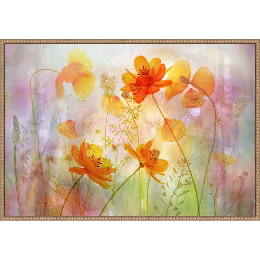 Fragile Orange Flowers by Hilda van der Framed Canvas Wall Art Print