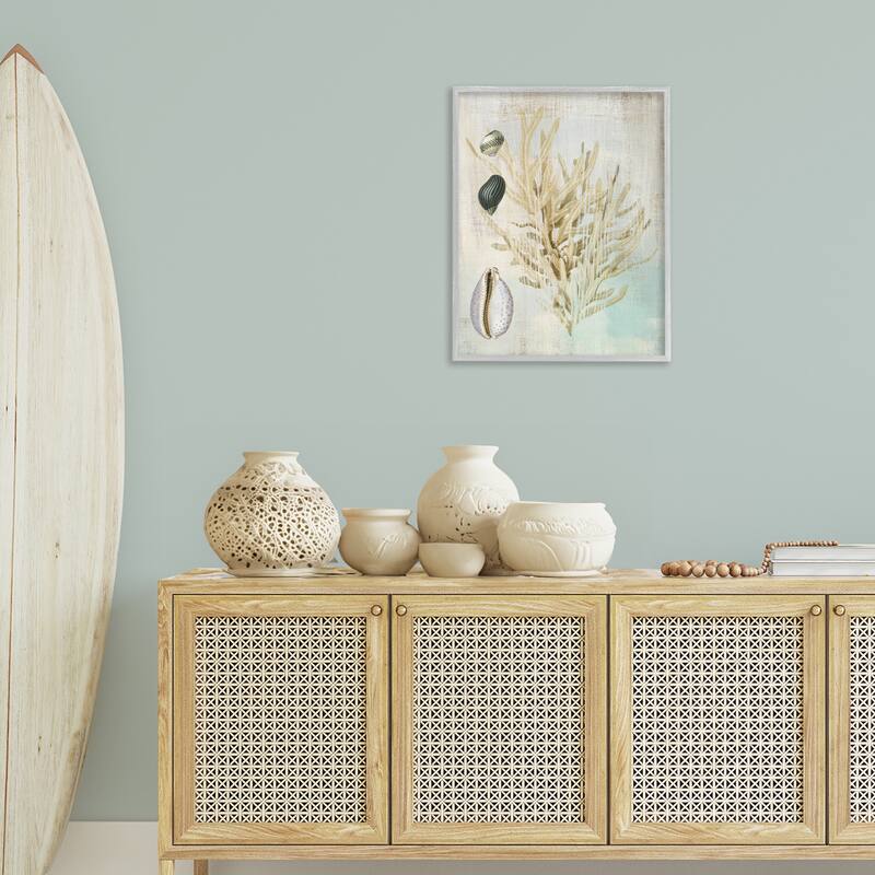 Stupell Coral Branch & Cowrie Shells Framed Giclee Art Design By Susan Arnot