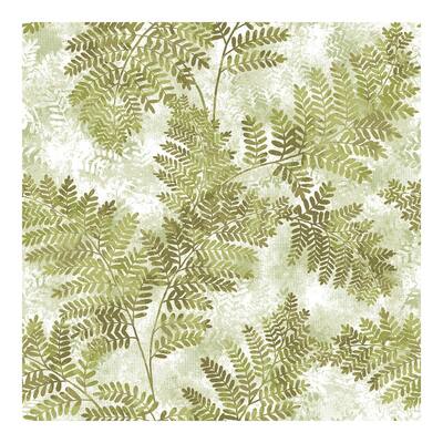 Cyathea Light Green Fern Wallpaper - 21 x 396 x 0.025