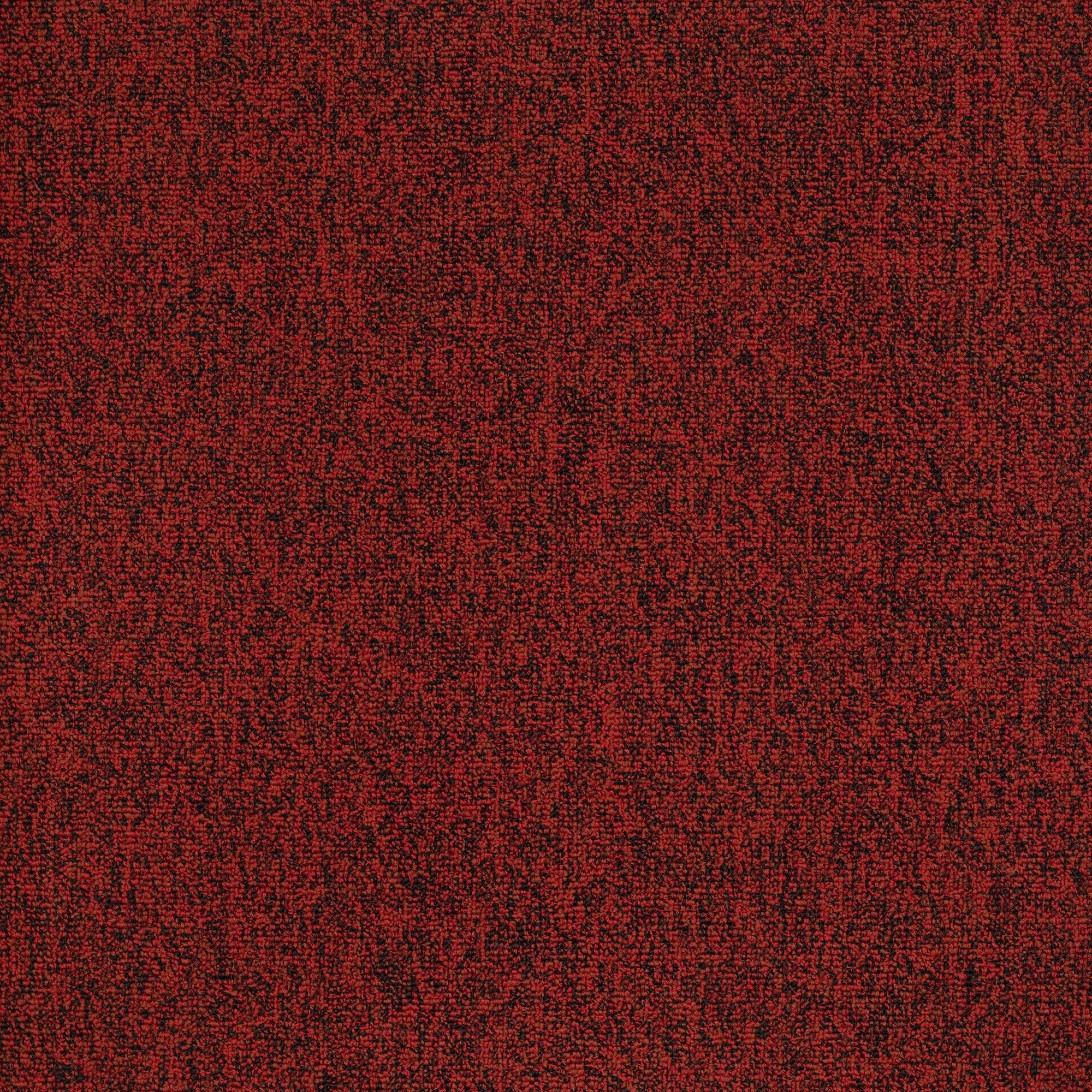 Shaw Philadelphia Commercial Multiplicity Tile 24" x 24" Glue Down