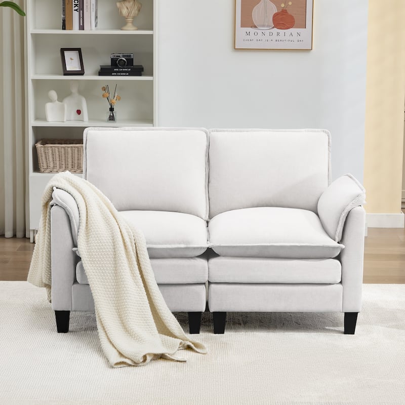 Luxury 2-Seat Sofa – Cloud-Like Comfort, Sturdy Design – For Living Rooms & Offices