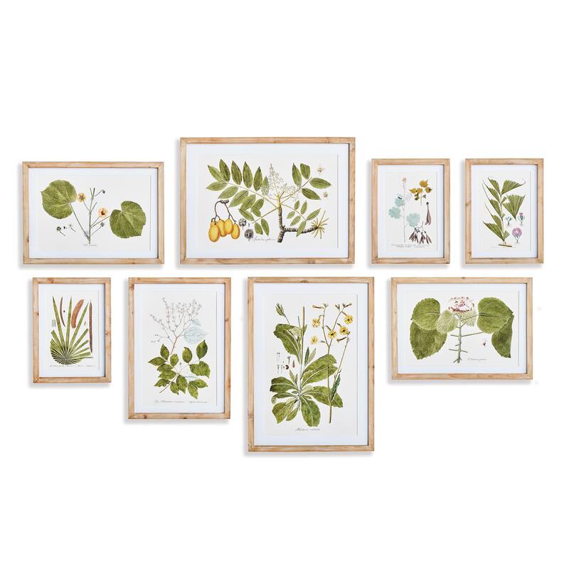 Flora And Fauna Gallery Prints - 8 Piece Set