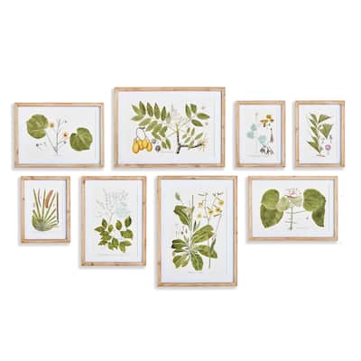 Flora And Fauna Gallery Prints