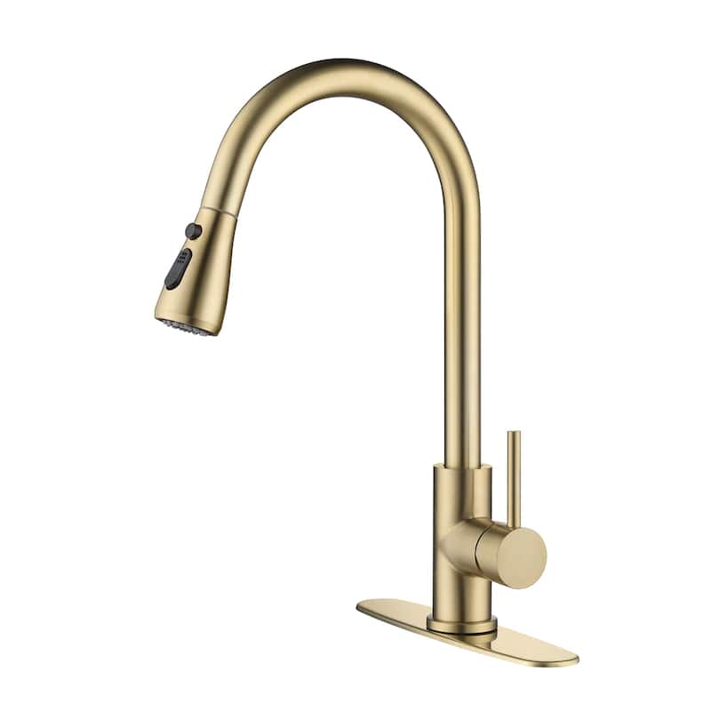 Single Handle Pull out Kitchen Faucet