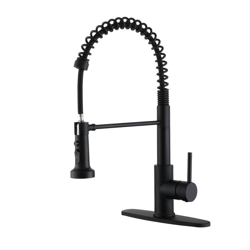 Pull-Out Kitchen Faucet with Flexible Spray Head