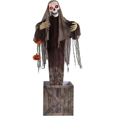 Haunted Hill Farm Morel the Animatronic Skeleton in a Box with Movement, Sounds, and Light-Up Eyes for Halloween Decoration