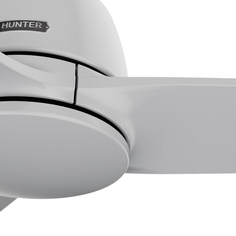 Hunter + Jasmine Roth 52" Malden Ceiling Fan and Handheld Remote - Contemporary, Modern - Designer!