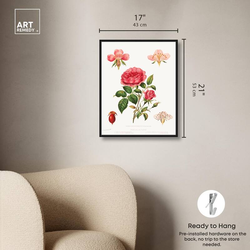 Rose and its parts (1872) Canvas by Art Remedy