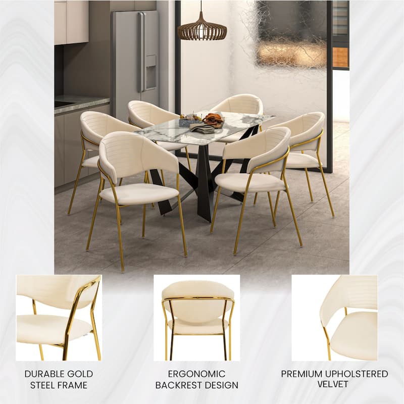 LeisureMod Bella Modern Mid-Century Leather/Velvet Dining Chair in Gold Stainless Steel Armchair for Home & Kitchen Banquet