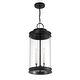 preview thumbnail 3 of 3, Englewood 3-Light Outdoor Hanging Lantern in Matte Black