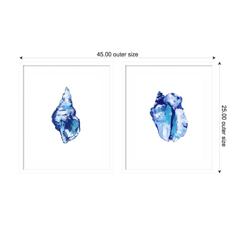 Blue Shell On White Background No. 1 & 2 2 Piece by Cartissi Framed Wall Art Prints