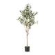 Taos 4' x 1.5' Artificial Olive Tree by Christopher Knight Home - 5' x 2'