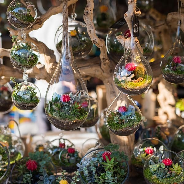 plant hanger hooks Hanging Plant Ceiling Hook