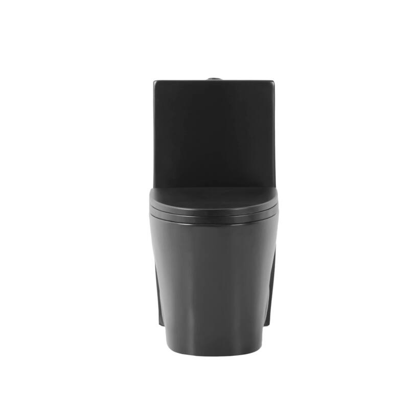 Fine Fixtures Dual-Flush Elongated One-Piece Toilet with High Efficiency Flush
