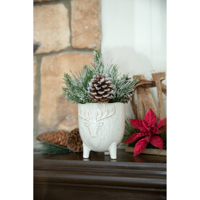 Xmas Mix in 4.5" Staghead Ceramic Footed Pot